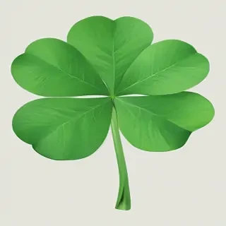 4 leaf clover png