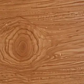 wood grain