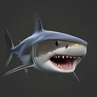 shark png