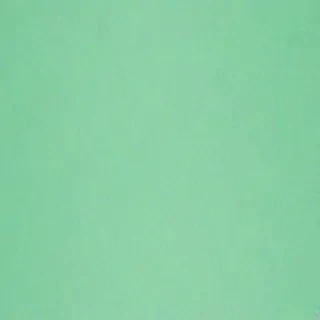 mint green background