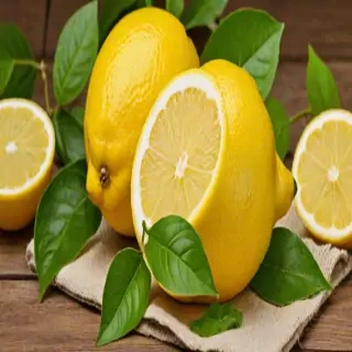free lemon clipart