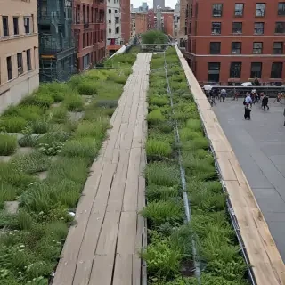 high line photos