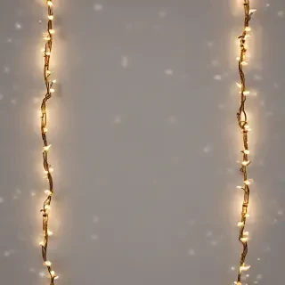 fairy lights png