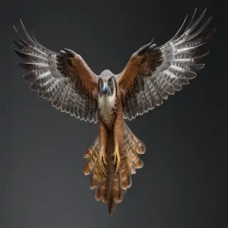 falcon png