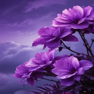 purple aesthetic wallpapers iphone