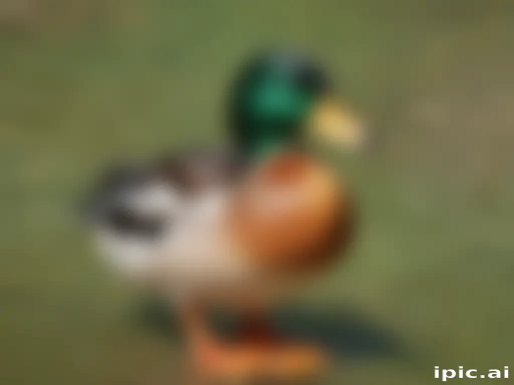 background duck