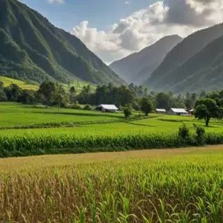 farmland png