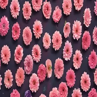 iphone pretty wallpaper