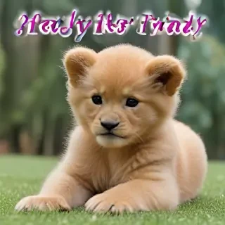 thank god its friday images