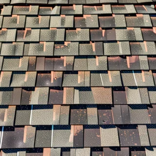 picture of shingles