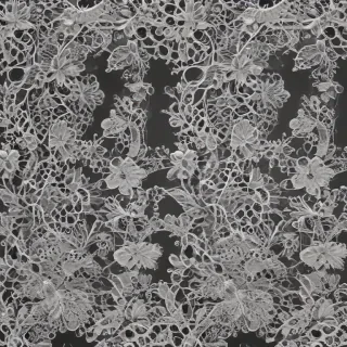 transparent lace png