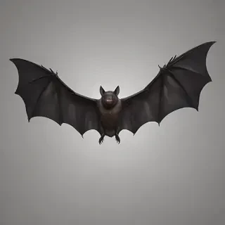 bat wings png