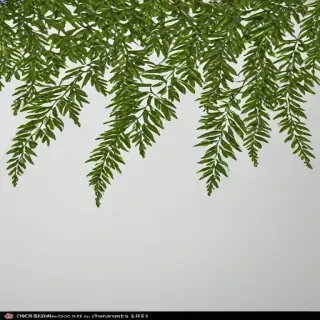 png branches