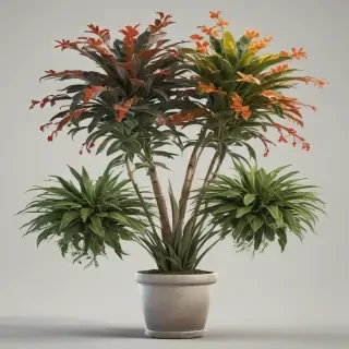 potted plants png