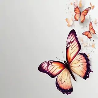 butterfly background transparent