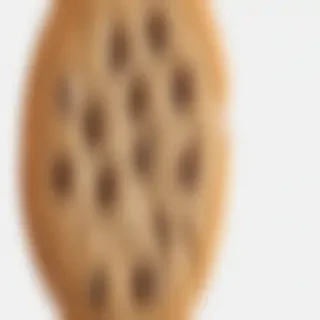 chocolate chip cookie png