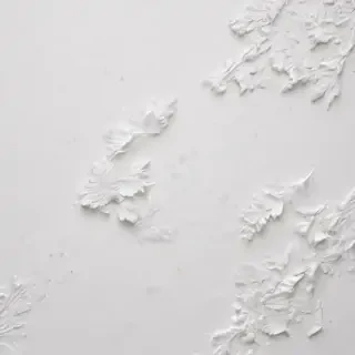 white background wallpaper