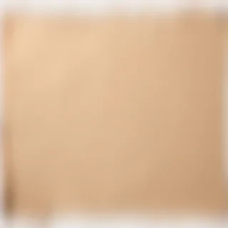 ripped paper png transparent