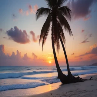 aesthetic beach pictures