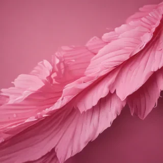 pink wallpapers for iphone