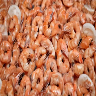 shrimp png