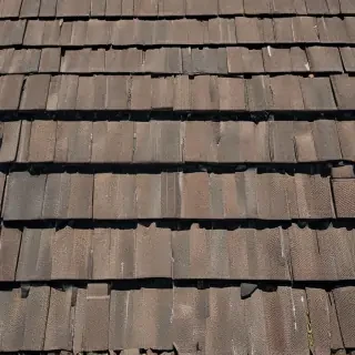 picture of shingles