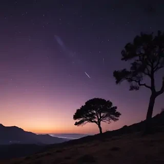 night wallpapers
