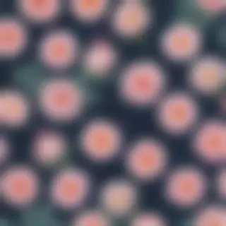 wallpaper for phone aesthetic
