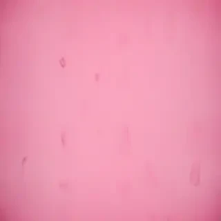 pink instagram background