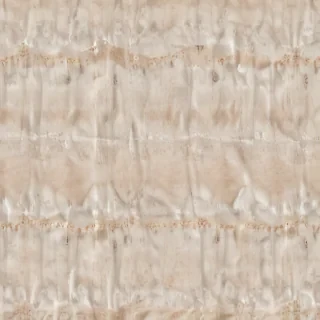 cute plain backgrounds