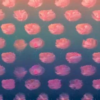 backgrounds pretty