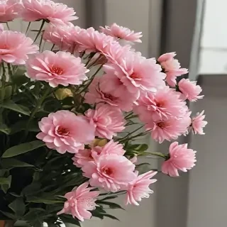flowers aesthetic