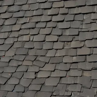 pictures of shingles