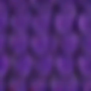 purple cute