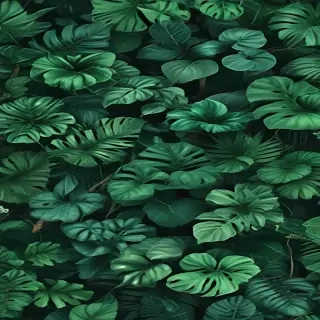 green backgrounds aesthetic