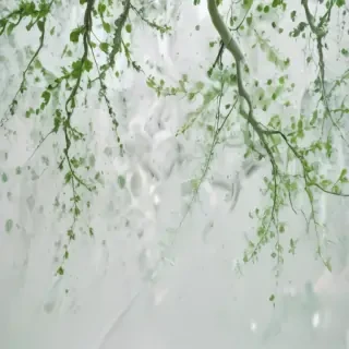 white and green background