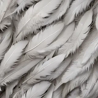 feather background