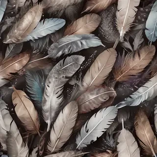 feather background