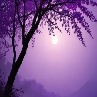aesthetic purple backgrounds