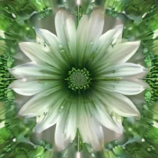 green flower png