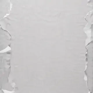 torn paper transparent