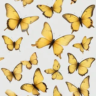 butter flies png