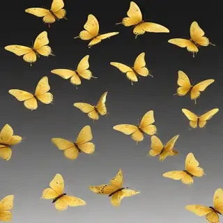 butter flies png