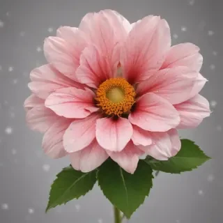 real flower png
