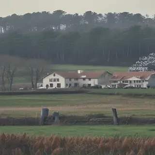 house back ground