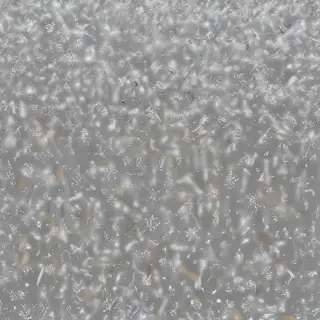 snow overlay png