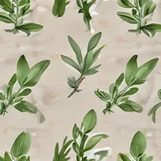 sage png