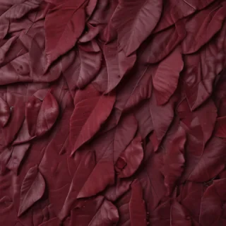 maroon aesthetic