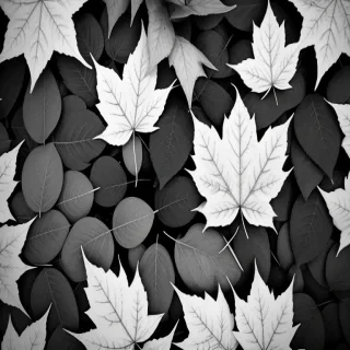 leaves black and white