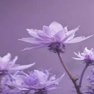 light purple aesthetic wallpaper